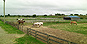 Boarding Stables